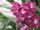 DSCN0053