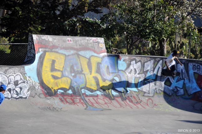 DSC_0310