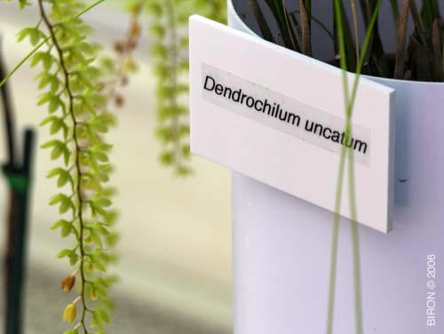 DSCN0034