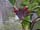 DSCN0170